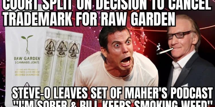 ‘Jackass’ star says he ditched Maher’s podcast after host refused to refrain from marijuana on set