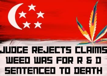 Terrifying: Death Penalty for Former Agent in Cannabis Trafficking Trial