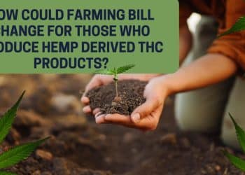 The future of hemp producers after Farm Bill