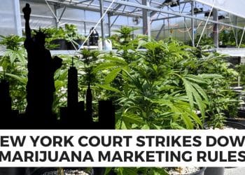 Shocking: NY Court Ruling on Marijuana Ads
