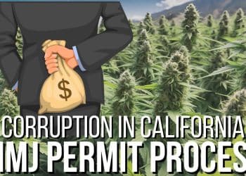 Auditor exposes favoritism in California’s marijuana permits