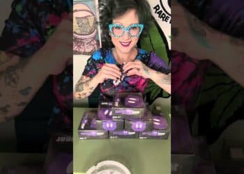 4&20 Reviews – Purple Bear Rice Wraps