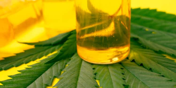 Cannabutter and Cannabis oil
