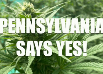 Pennsylvania House of Representatives Passes Bill to Legalize Adult-Use Cannabis