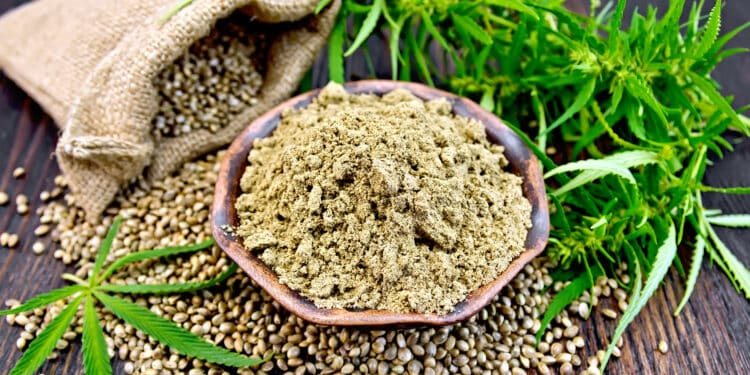 Cannabidiol Market to Hit $22.05 Billion
