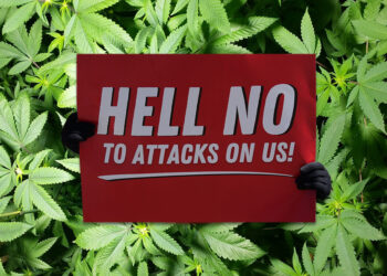 Federal Budget Cuts Push States Toward Marijuana Legalization