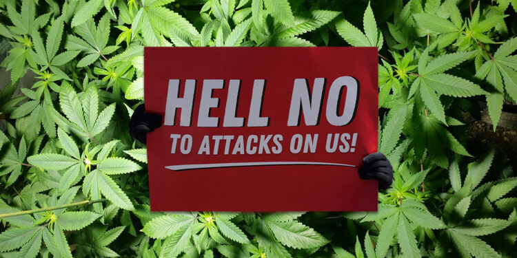 Federal Budget Cuts Push States Toward Marijuana Legalization