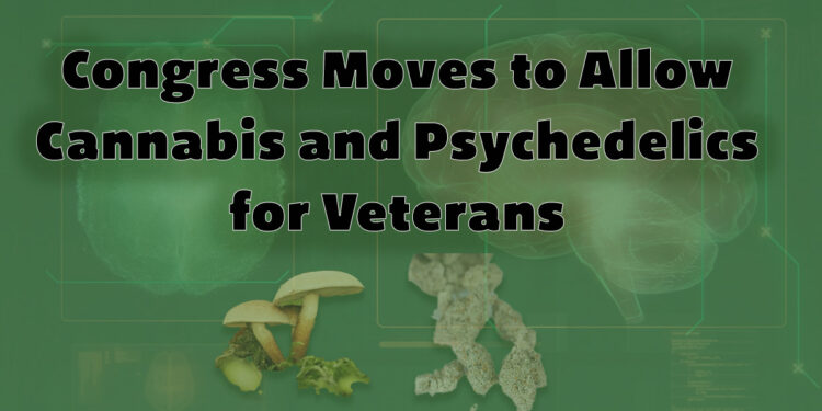 House Approves Medical Marijuana Access and Psychedelics Research for Veterans at VA