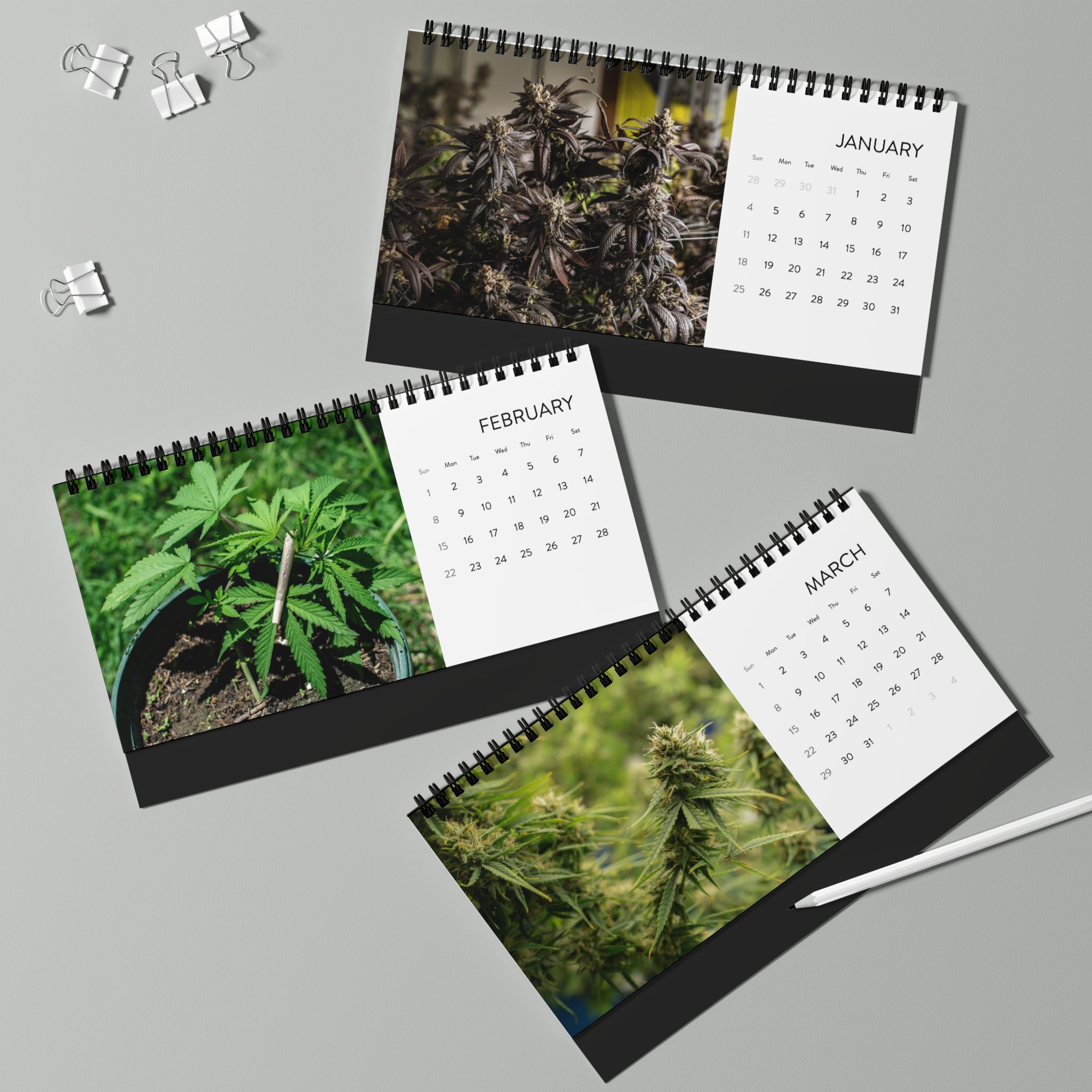 2026 Cannabis Desktop Calendar - Monthly Grid Planner with Indoor/Outdoor Grow Photos - Image 5