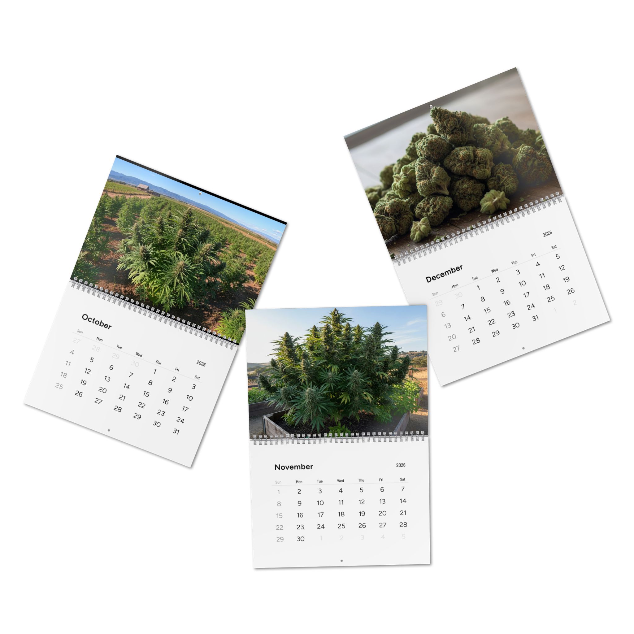 Cannabis Photography Wall Calendar 2026 — 12-Month Indoor & Outdoor Grow Images - Image 7