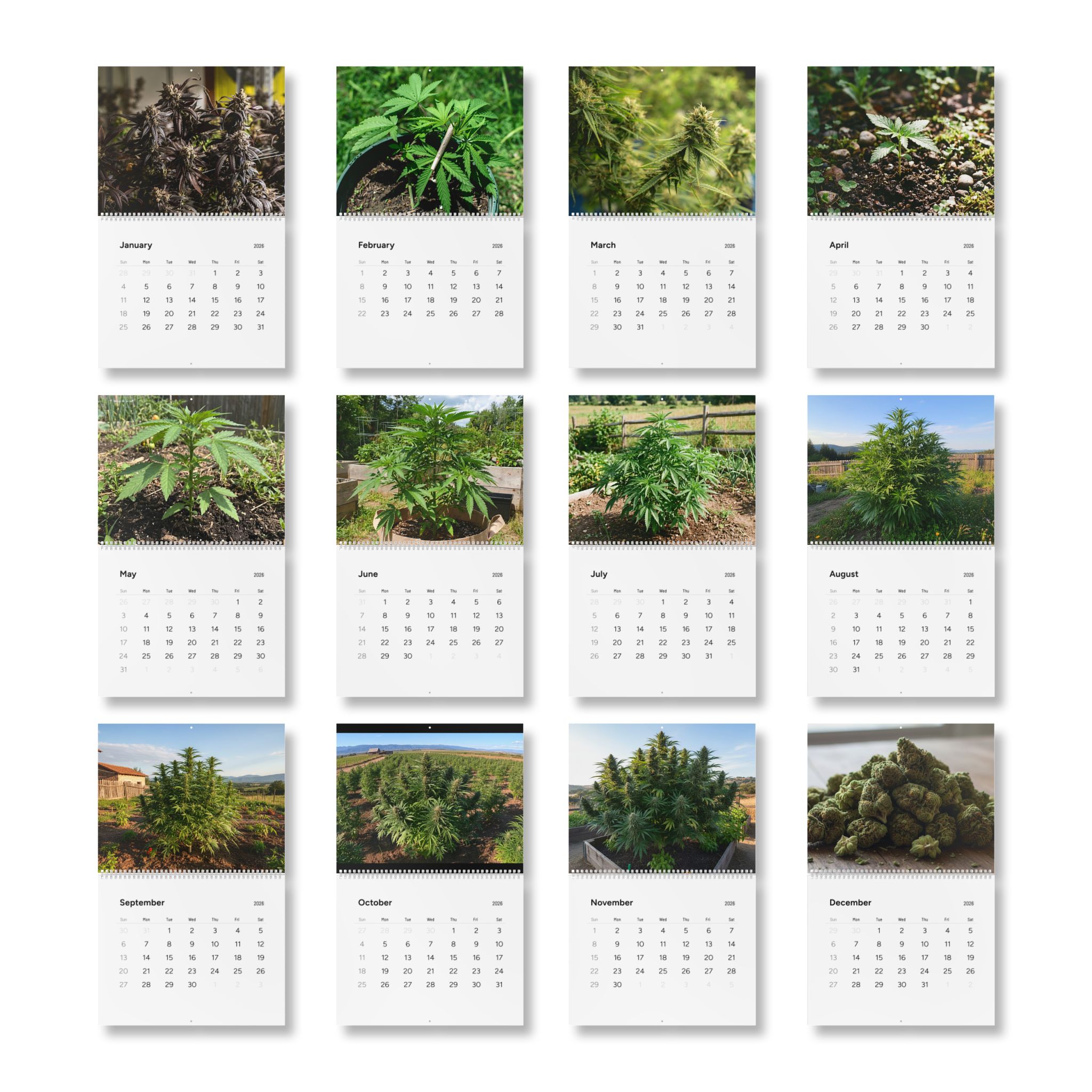 Cannabis Photography Wall Calendar 2026 — 12-Month Indoor & Outdoor Grow Images - Image 12
