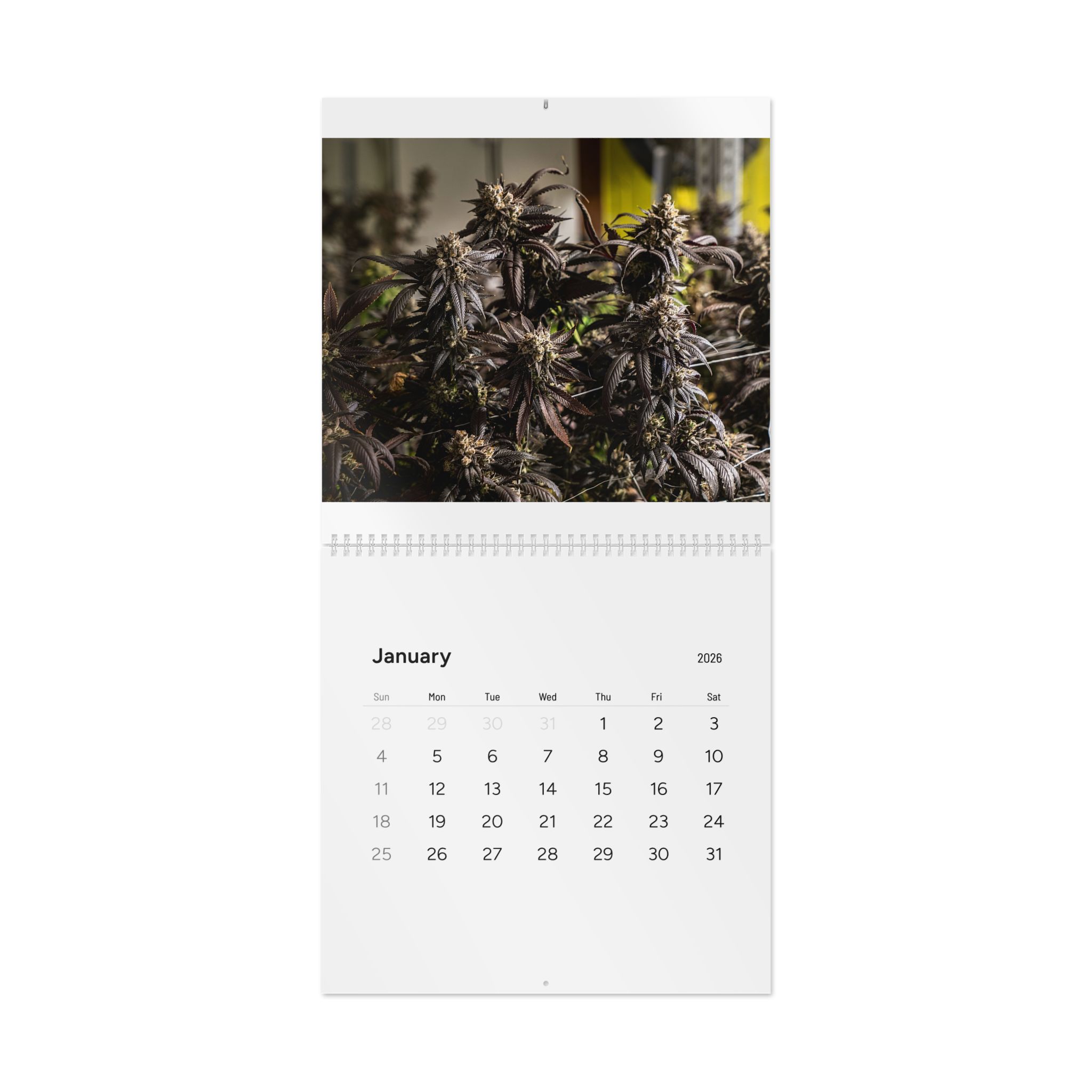 Cannabis Photography Wall Calendar 2026 — 12-Month Indoor & Outdoor Grow Images - Image 9