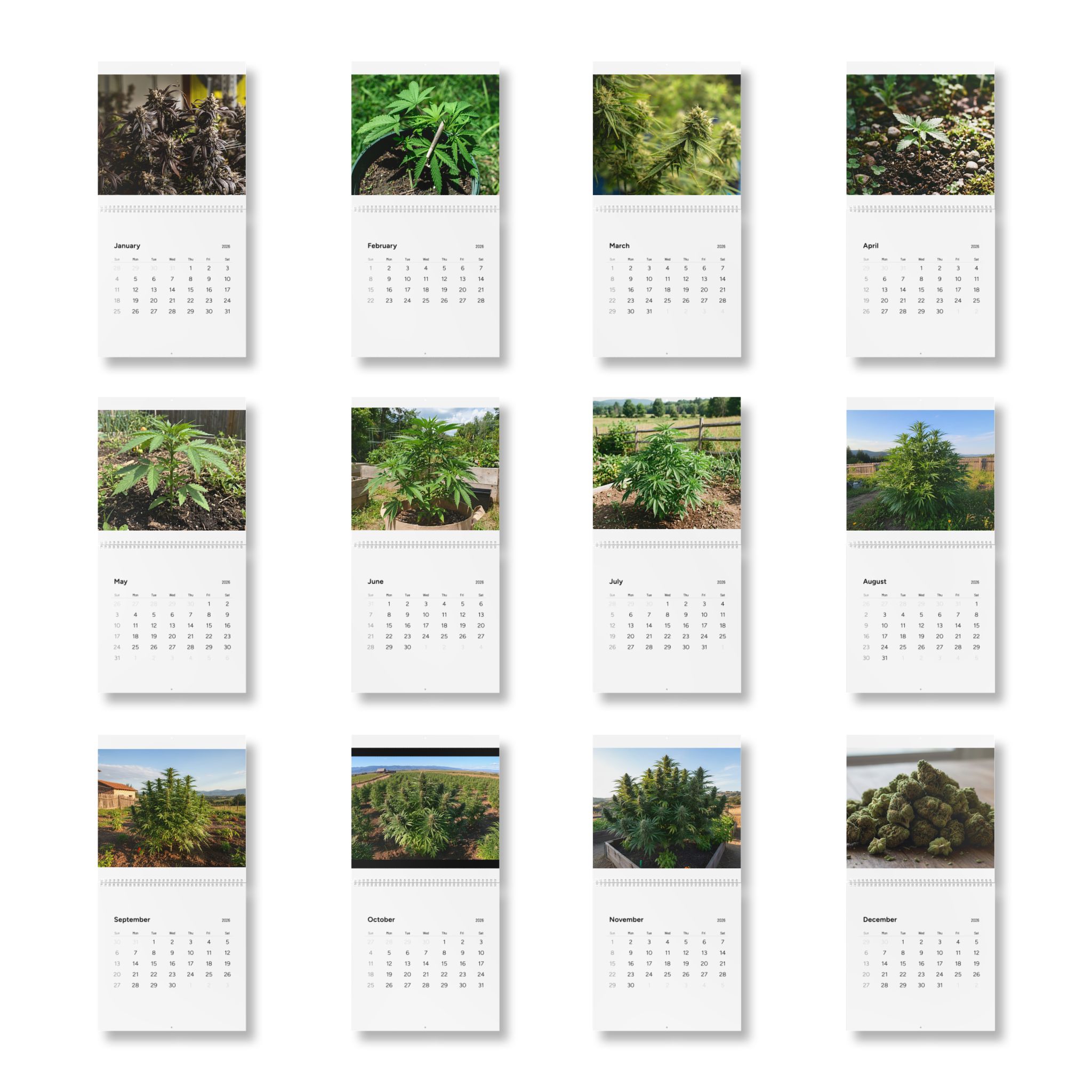 Cannabis Photography Wall Calendar 2026 — 12-Month Indoor & Outdoor Grow Images - Image 10