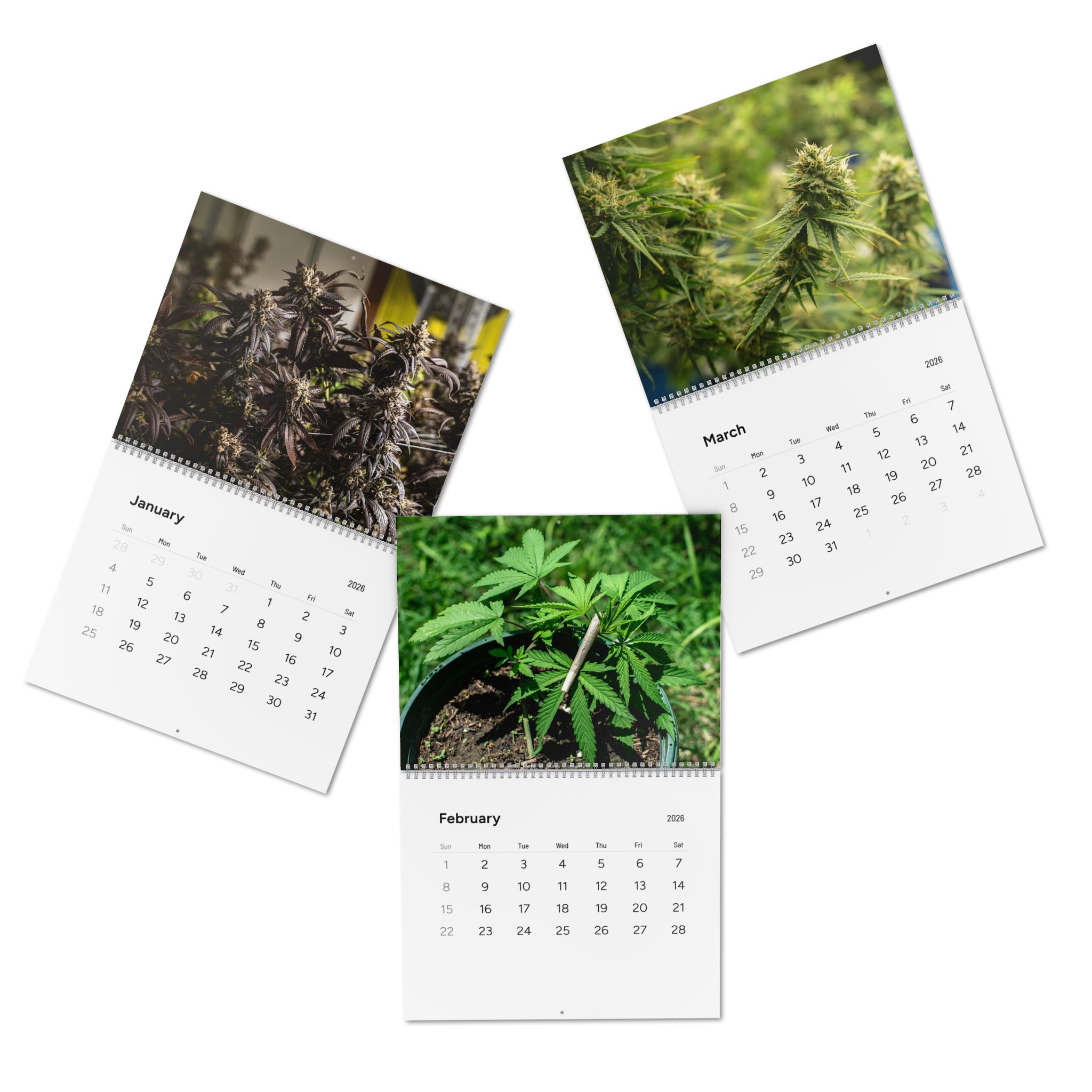 Cannabis Photography Wall Calendar 2026 — 12-Month Indoor & Outdoor Grow Images - Image 13