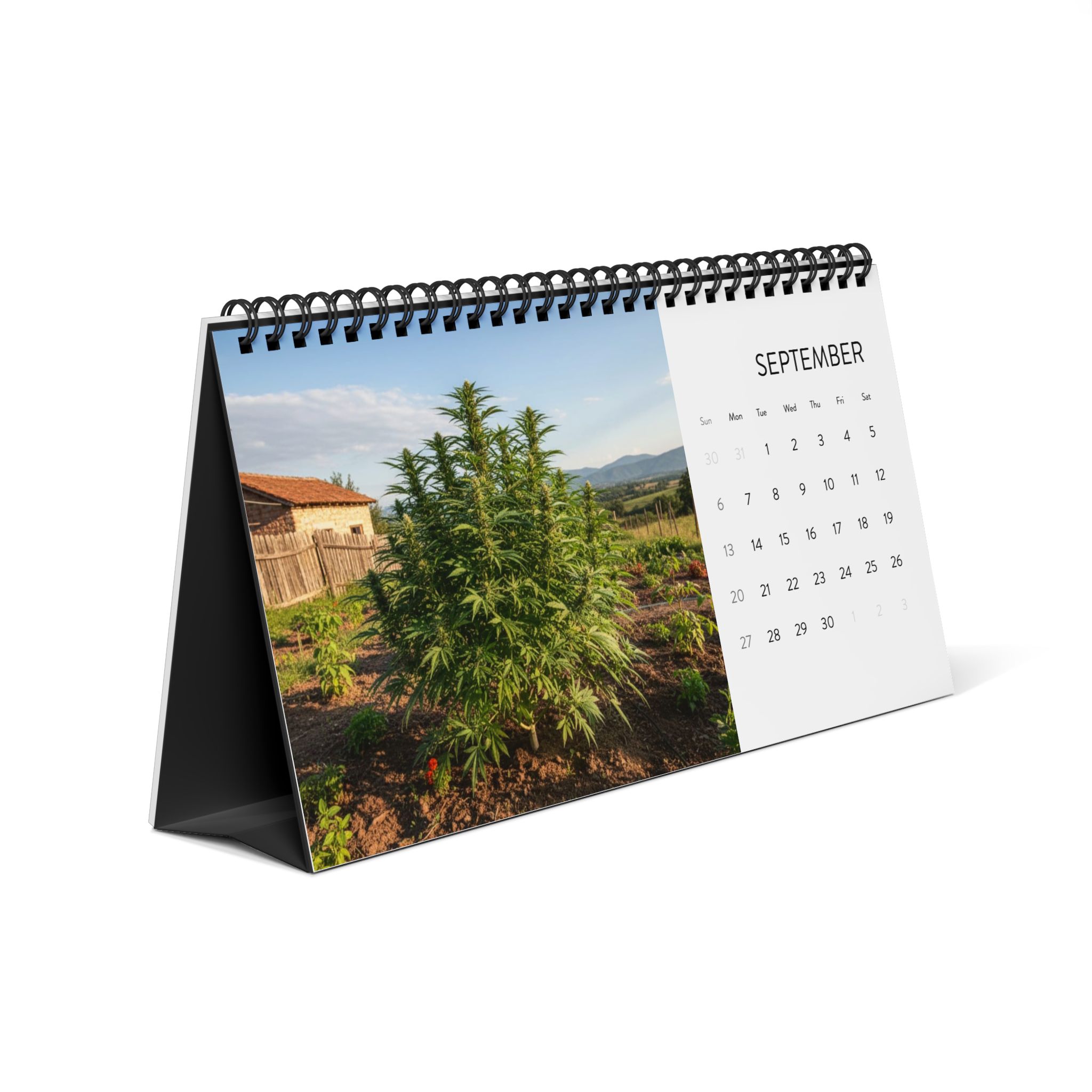 2026 Cannabis Desktop Calendar - Monthly Grid Planner with Indoor/Outdoor Grow Photos - Image 3