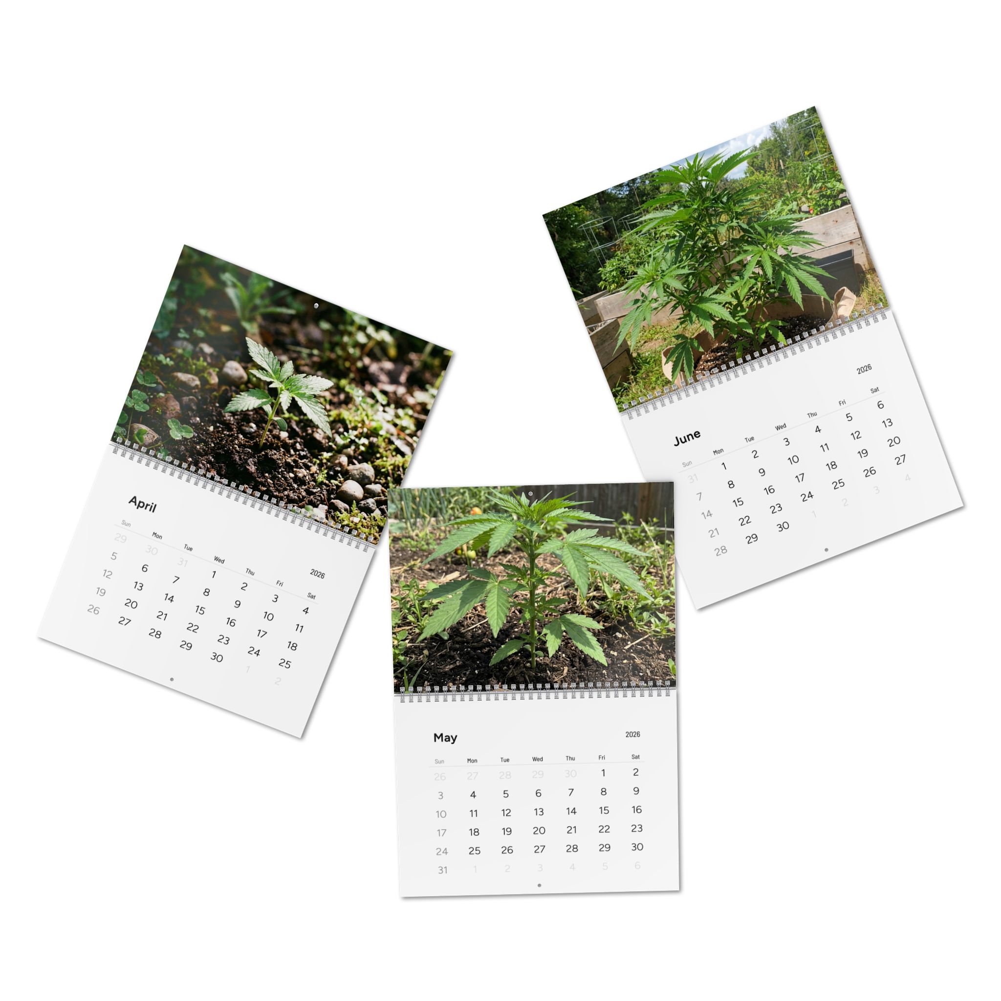 Cannabis Photography Wall Calendar 2026 — 12-Month Indoor & Outdoor Grow Images - Image 5