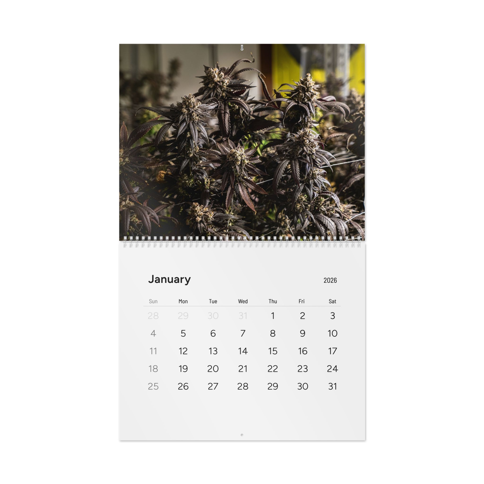 Cannabis Photography Wall Calendar 2026 — 12-Month Indoor & Outdoor Grow Images - Image 11
