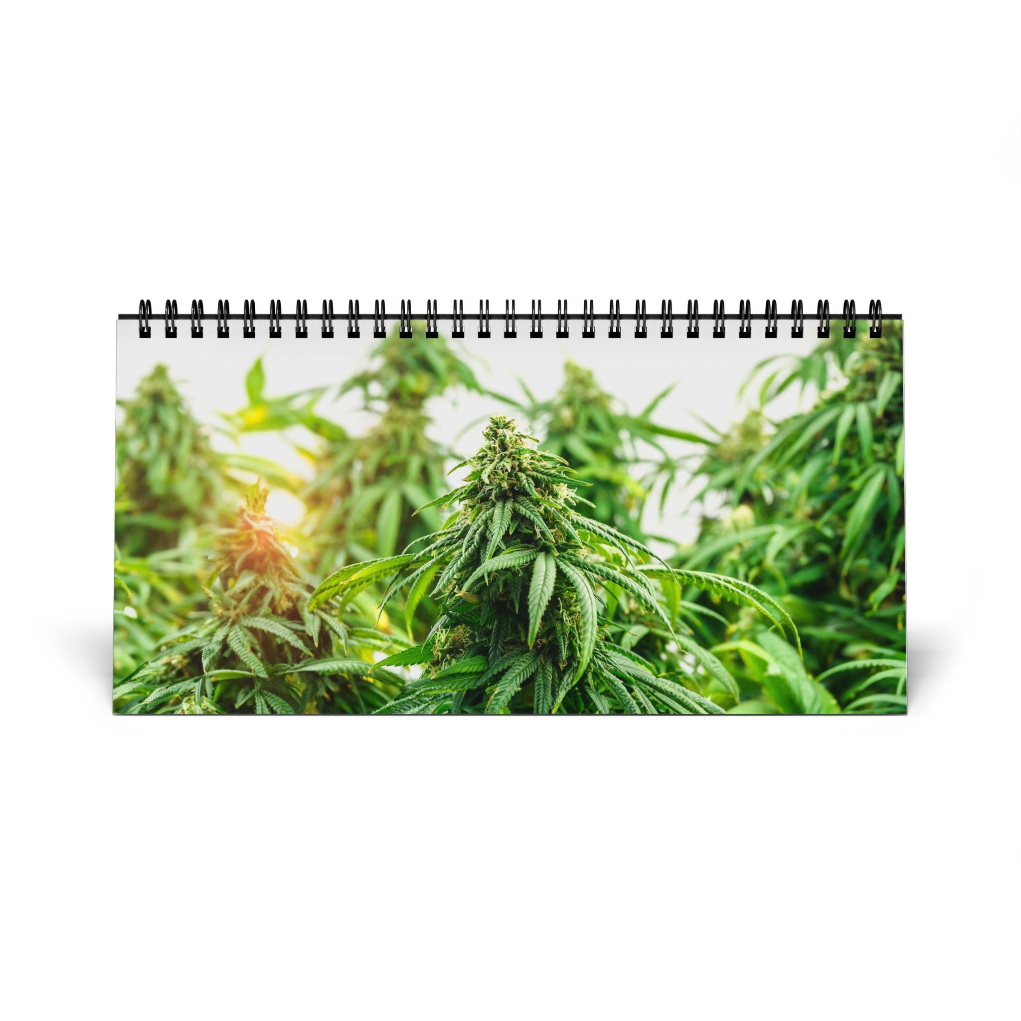 2026 Cannabis Desktop Calendar - Monthly Grid Planner with Indoor/Outdoor Grow Photos - Image 2