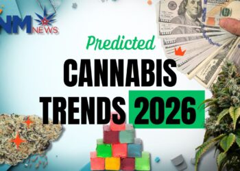 Cannabis Outlook 2026: What to Expect