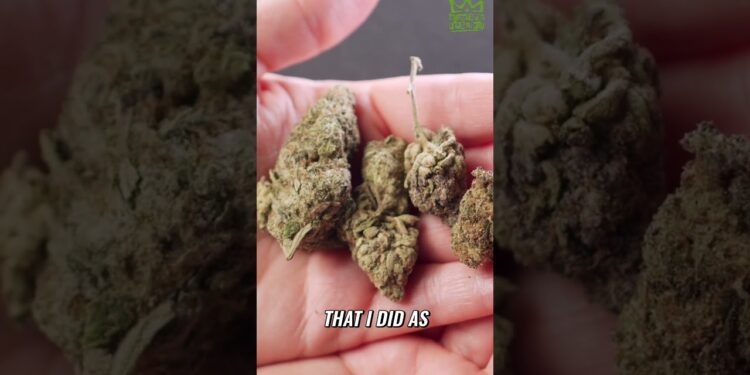 TNMNews | Marijuana News, Cannabis Culture