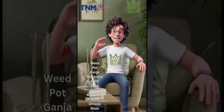 Things I Bet You Didn’t Know About Cannabis TNMNews | Marijuana News, Cannabis Culture