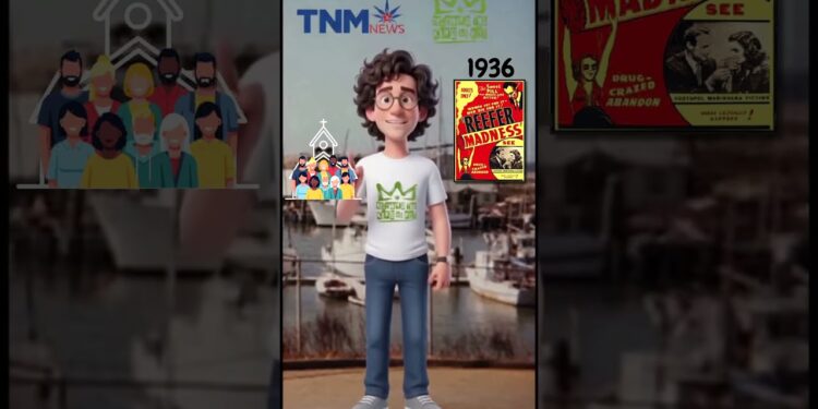 Things I Bet You Didn’t Know About Cannabis TNMNews | Marijuana News, Cannabis Culture
