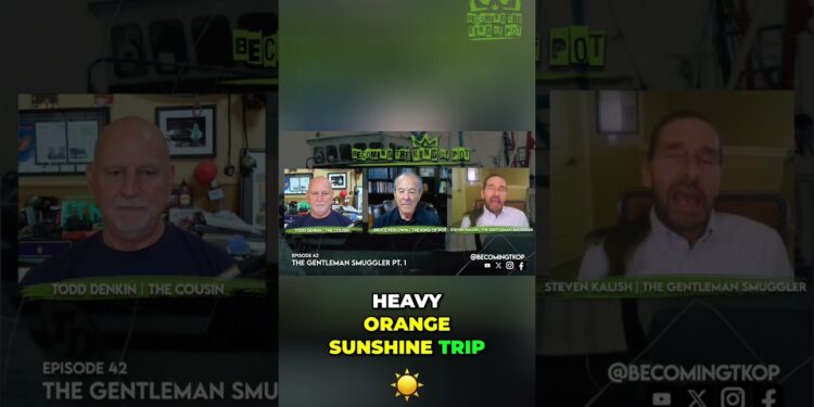 Tripping on Orange Sunshine, Sheriff Encountered Me! TNMNews | Marijuana News, Cannabis Culture