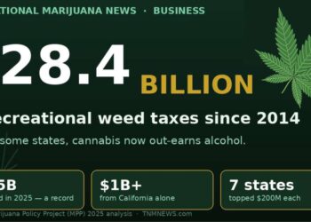 $28 Billion Later, Weed Is Quietly Out-Earning Booze — And Nobody Threw a Parade