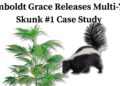 Humboldt Grace Releases Multi-Year Skunk #1 Case Study